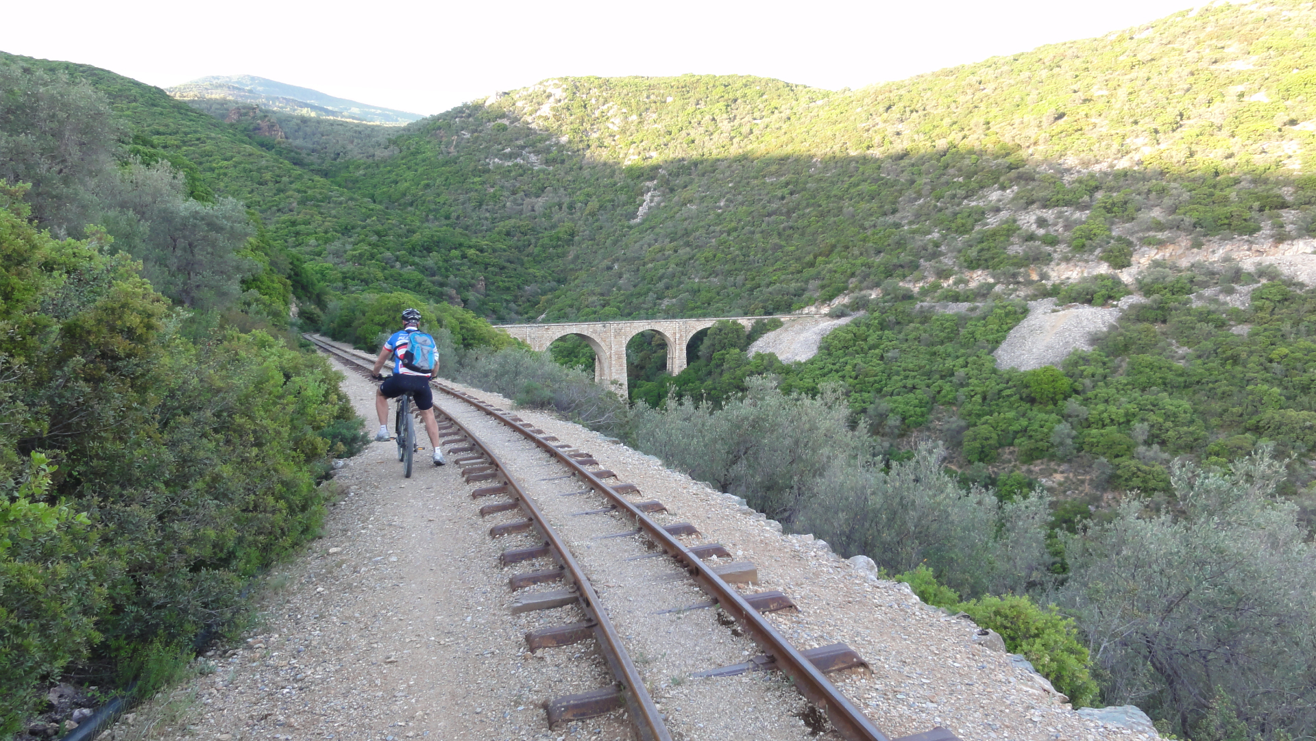 Pelion E-Bike Explorer photo 3