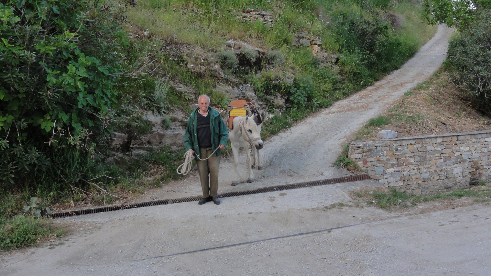 Pelion E-Bike Explorer photo 4