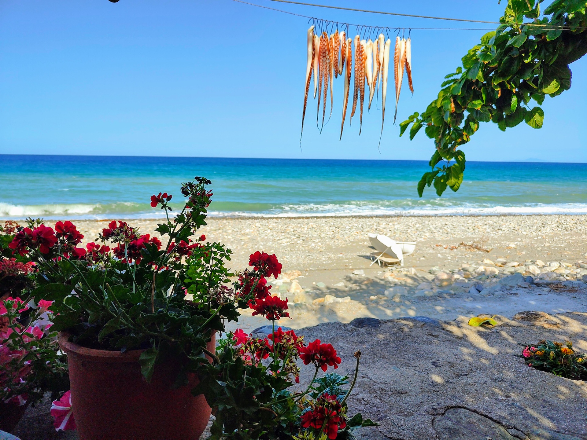 Pelion E-Bike Explorer photo 1