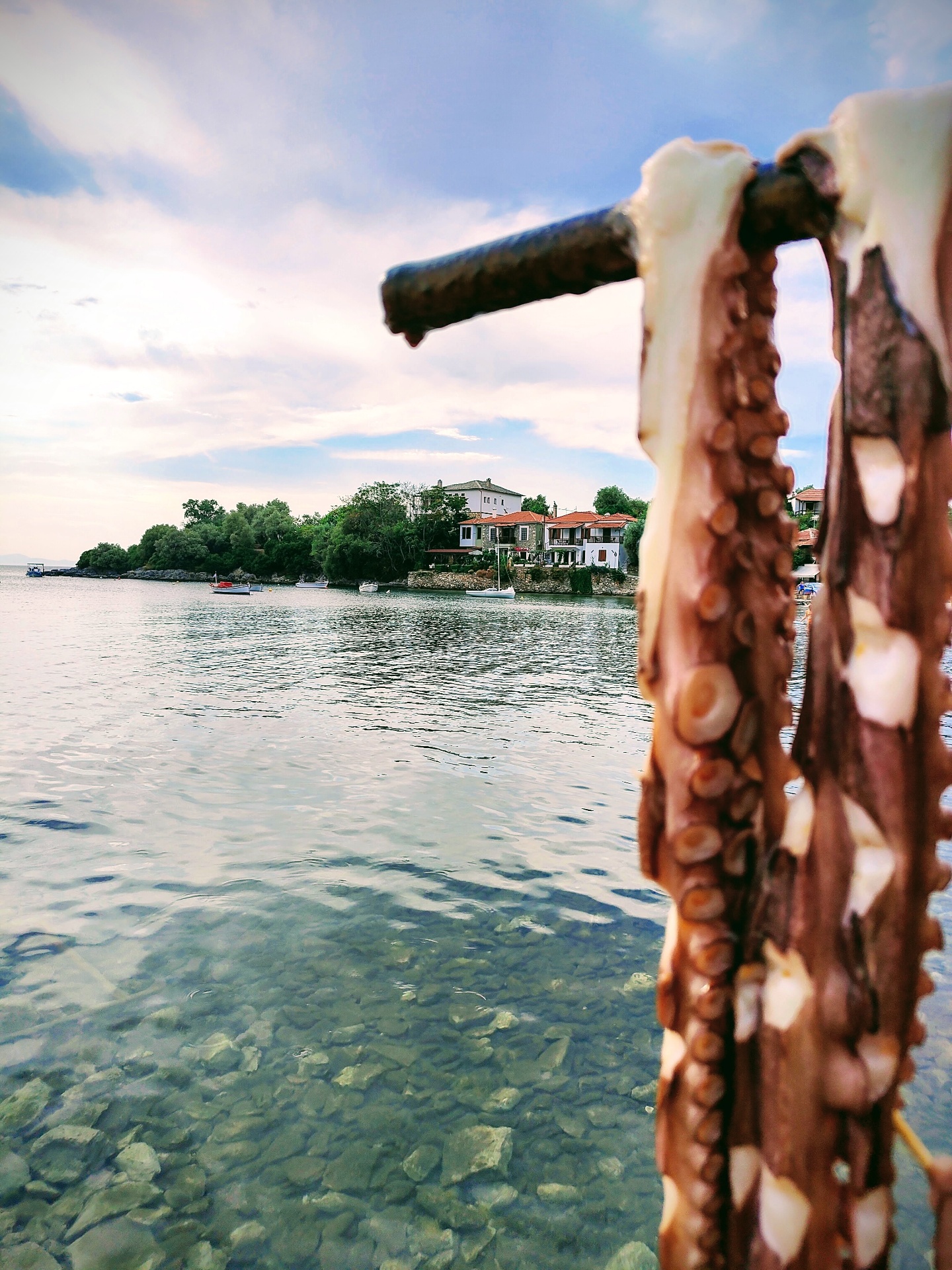 Pelion E-Bike Explorer photo 5