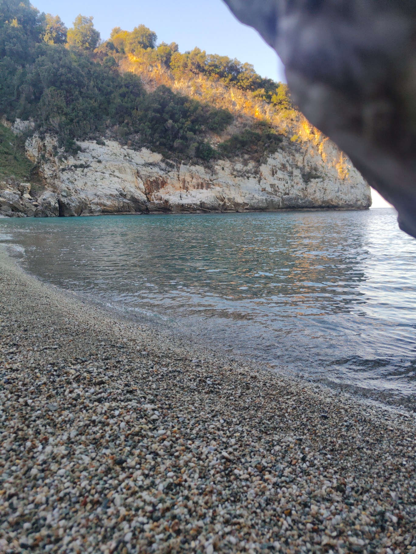 Pelion E-Bike Explorer photo 2