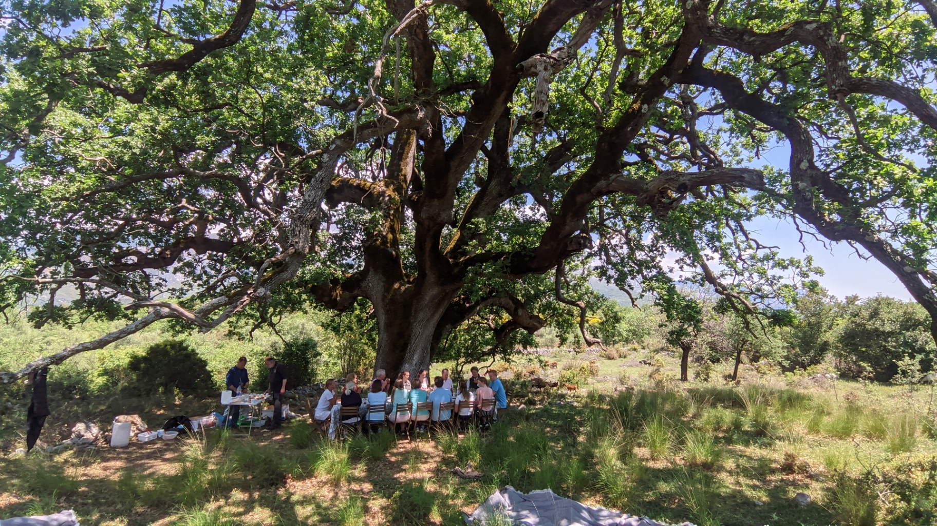 Mani Peninsula E-Bike Discovery photo 12