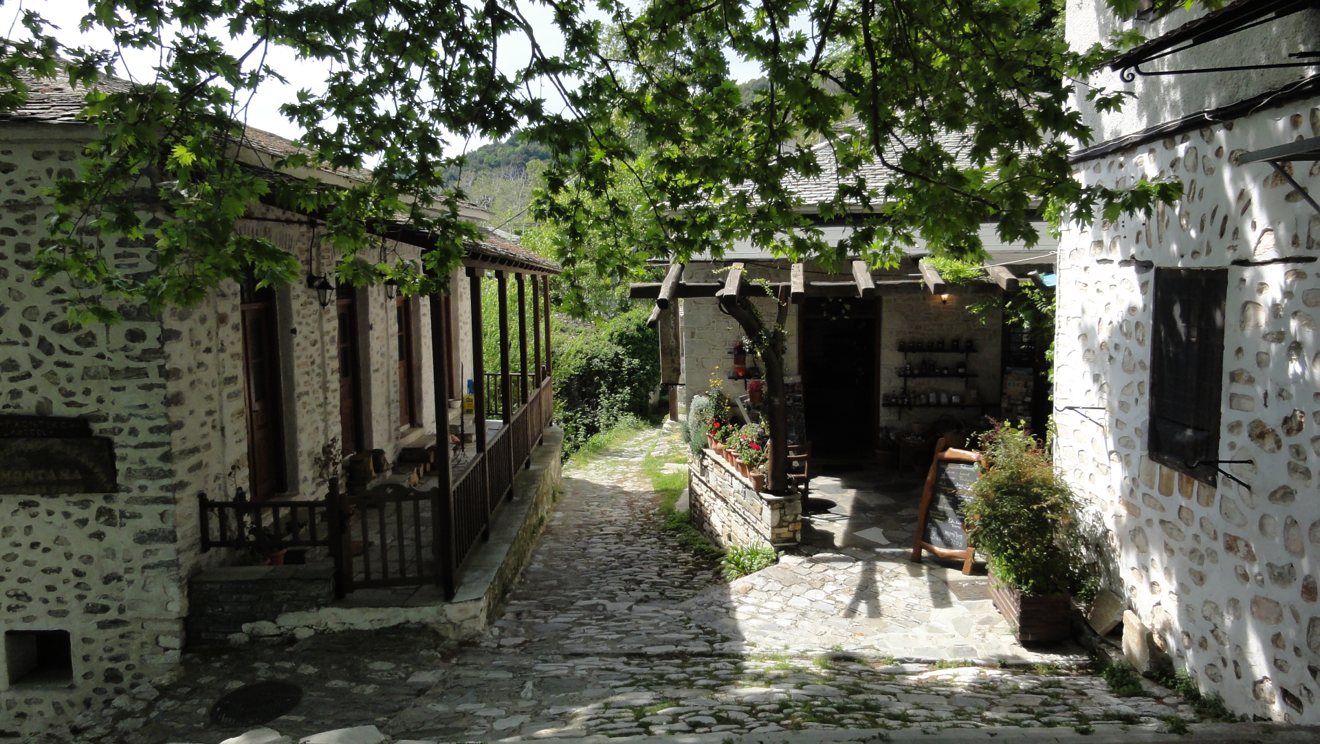 Pelion Hiking Adventure photo 4