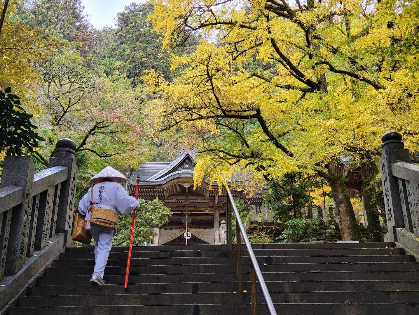 Mindful Cycling: Why Your Next Adventure Should Be a "Slow" One