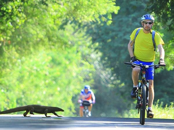 Sri Lankan 7 Day Highlights Cycling