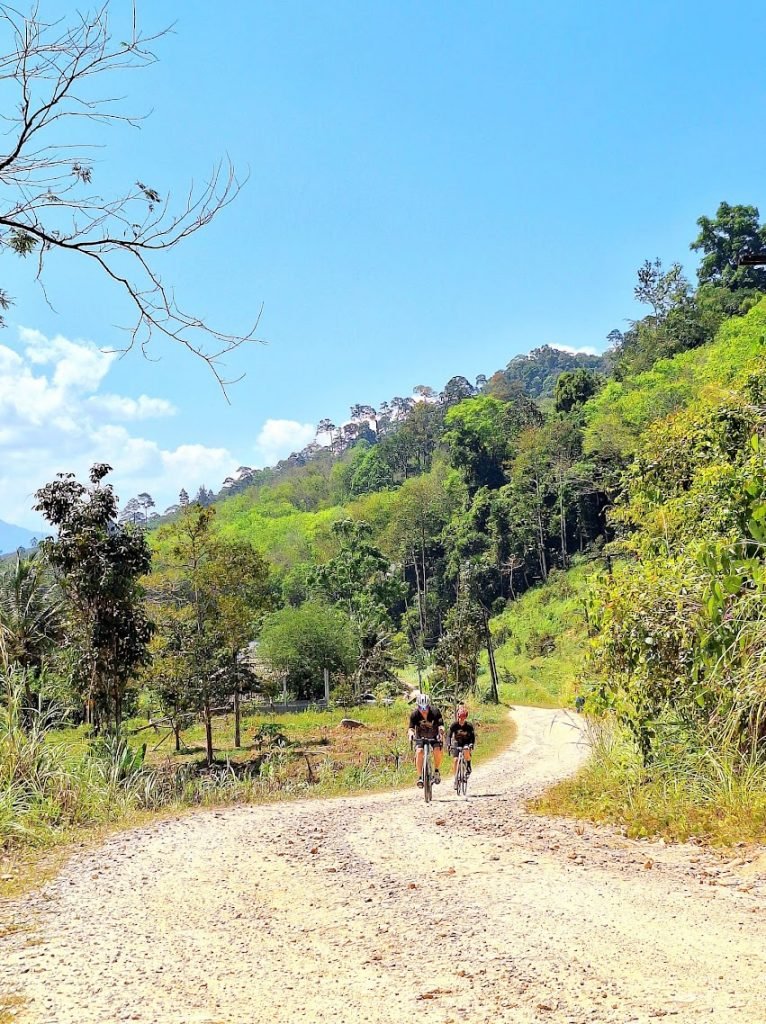 10c2786d 1e0d 4920 991a 9357a4bf1411