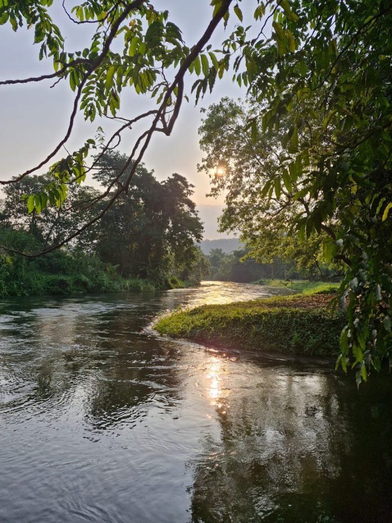 89d2924d ff84 4a19 833f 099d89d83e69