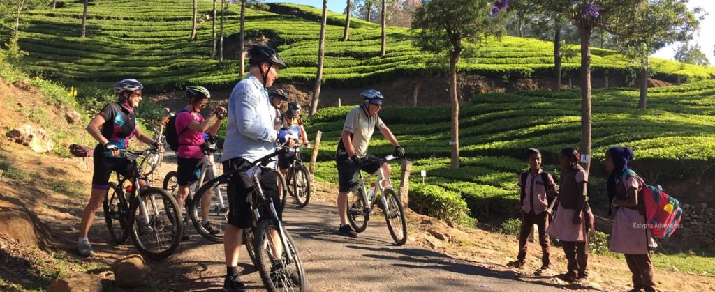 12061714972667691091503031