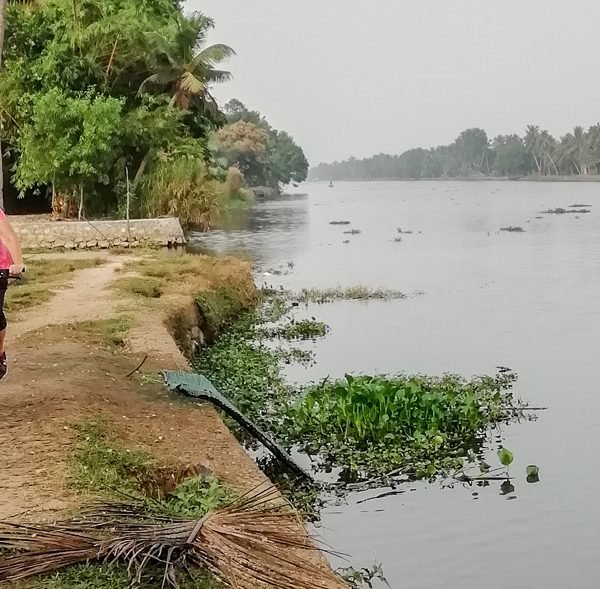 14021915501267631152605330