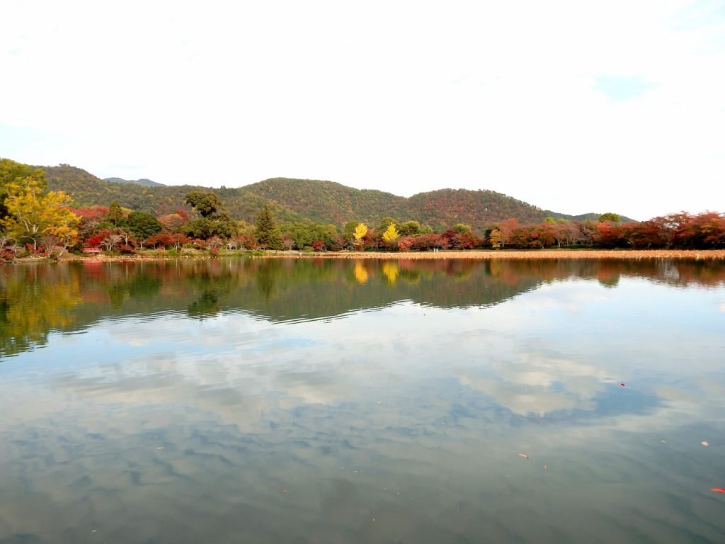 hirosawa pond(kytoto)