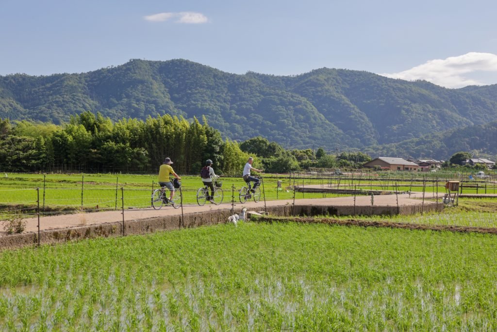 kyoto cycling