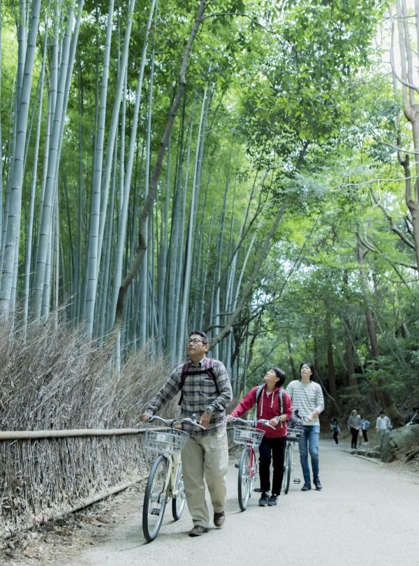 kyoto cycling2